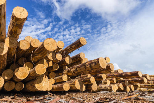 1607828881188549.jpeg 4444.jpeg